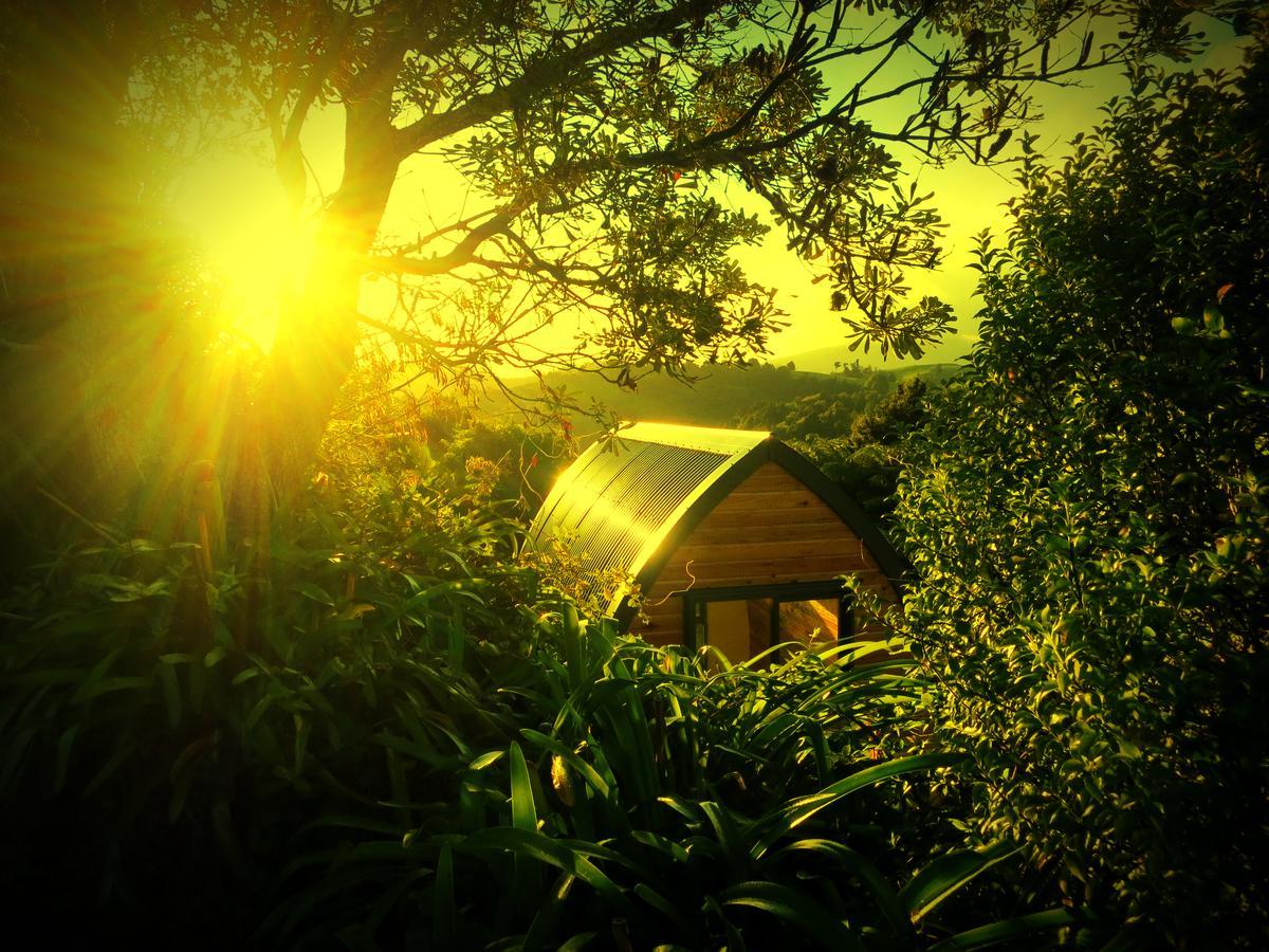 Villa The Dome Waikino Exterior foto